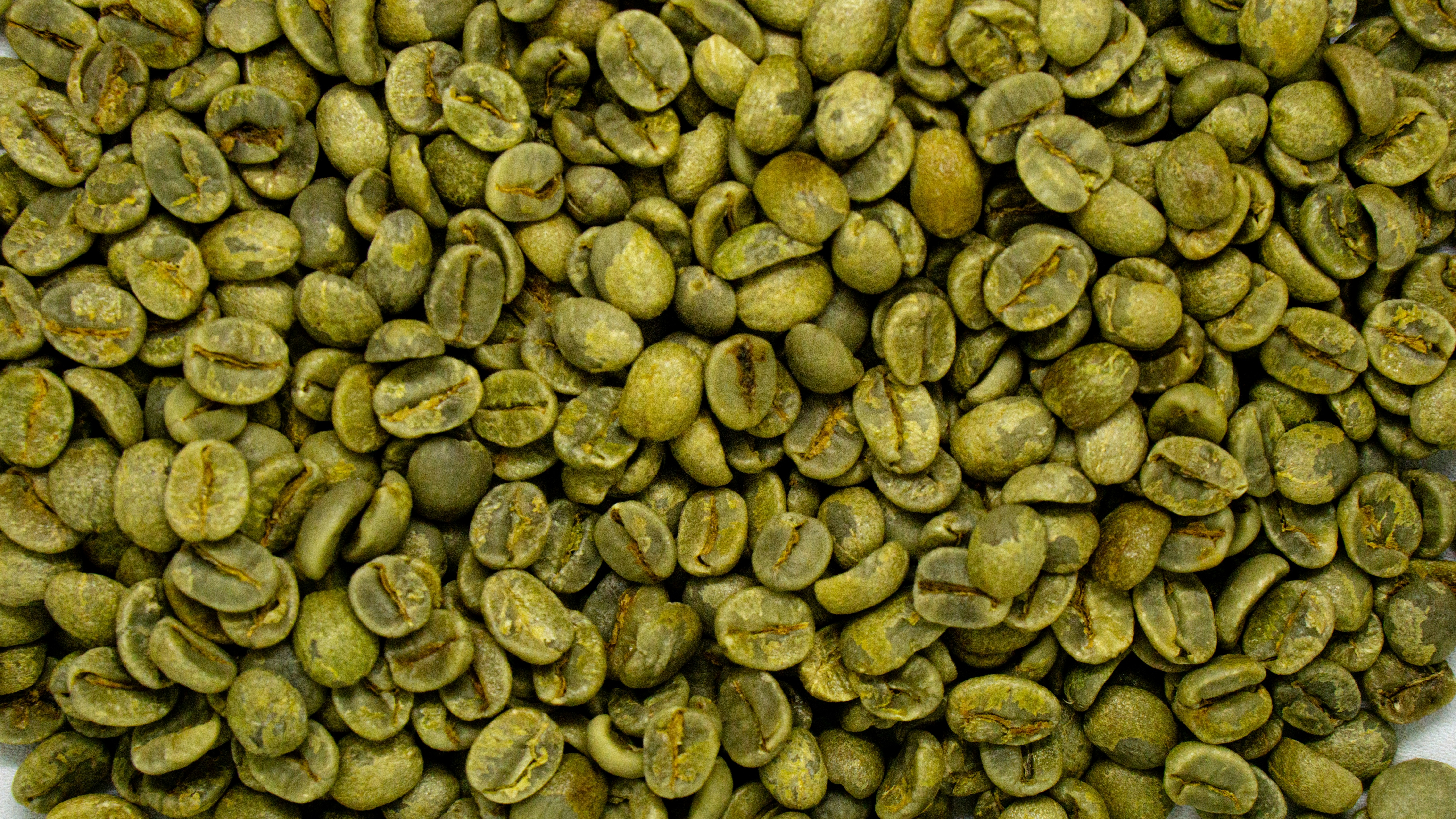 Green Coffee Beans